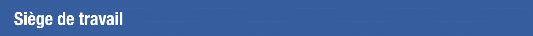 Siège de travail