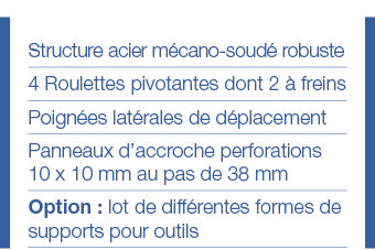 Structure acier mécano-soudé robuste 4 Roulettes pivotantes dont 2 à freins Poignées latérales de déplacement Panneau   