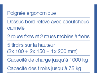 Poignée ergonomique Dessus bord relevé avec caoutchouc cannelé 2 roues fixes et 2 roues mobiles à freins 5 tiroirs su   