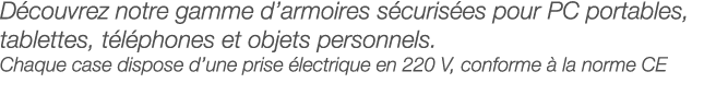 Découvrez notre gamme d armoires sécurisées pour PC portables, tablettes, téléphones et objets personnels  Chaque cas   