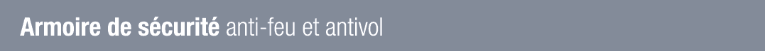 Armoire de sécurité anti-feu et antivol