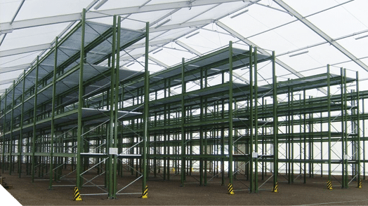  Digimax S500   Kenox S500   Digimax Cyber 530 