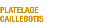 Platelage caillebotis