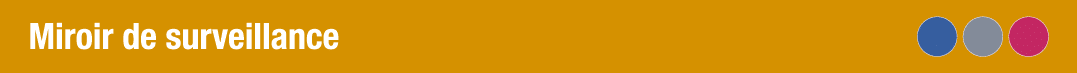 Miroir de surveillance 