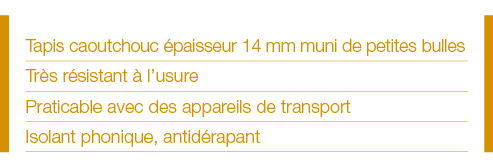 Tapis caoutchouc épaisseur 14 mm muni de petites bulles Très résistant à l usure Praticable avec des appareils de tra   