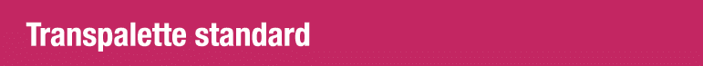 Transpalette standard
