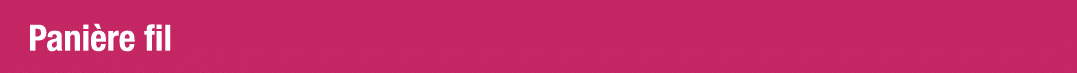 Panière fil